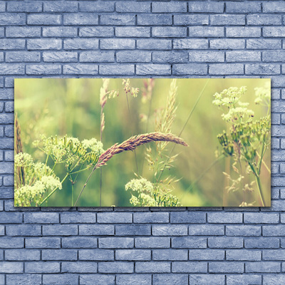 Quadro canvas Plantas Selvagens Natureza