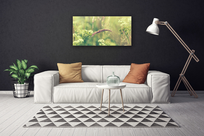 Quadro canvas Plantas Selvagens Natureza