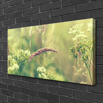 Quadro canvas Plantas Selvagens Natureza