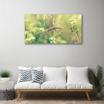 Quadro canvas Plantas Selvagens Natureza