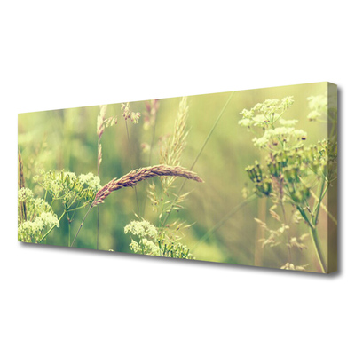 Quadro canvas Plantas Selvagens Natureza