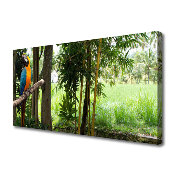 Quadro em tela Árvores Papagaio Natureza
