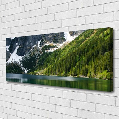 Quadro em tela Paisagem de montanhas e florestas de lagos