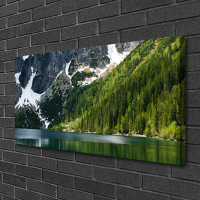 Quadro em tela Paisagem de montanhas e florestas de lagos