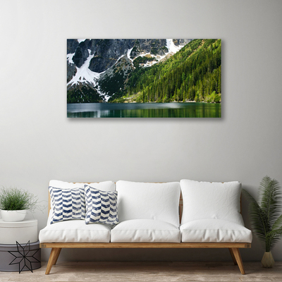 Quadro em tela Paisagem de montanhas e florestas de lagos