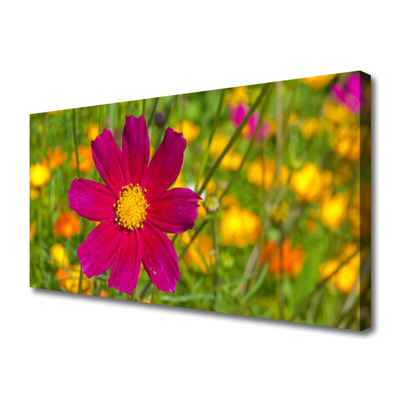 Quadro canvas Flor Planta Natureza