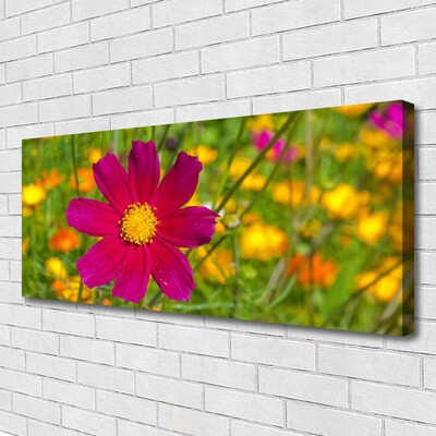 Quadro canvas Flor Planta Natureza