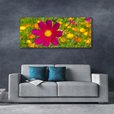Quadro canvas Flor Planta Natureza
