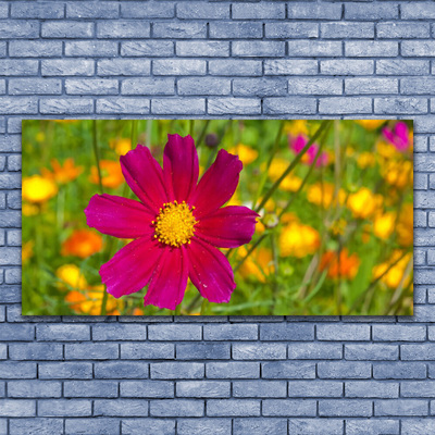 Quadro canvas Flor Planta Natureza