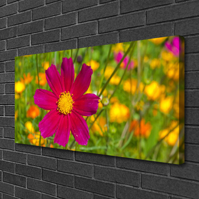 Quadro canvas Flor Planta Natureza