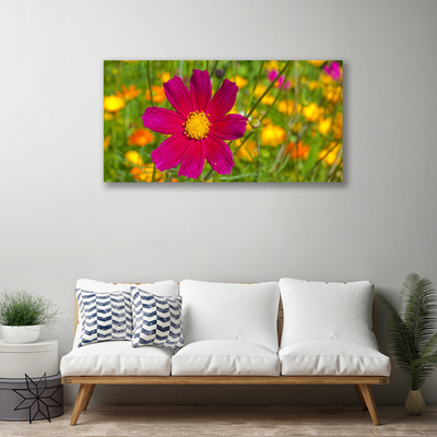 Quadro canvas Flor Planta Natureza