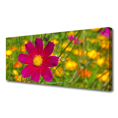 Quadro canvas Flor Planta Natureza