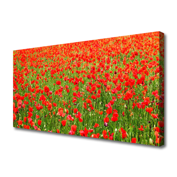Quadro canvas Papoulas Plantam Natureza