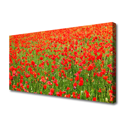 Quadro canvas Papoulas Plantam Natureza