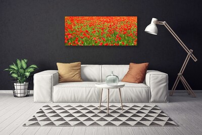 Quadro canvas Papoulas Plantam Natureza