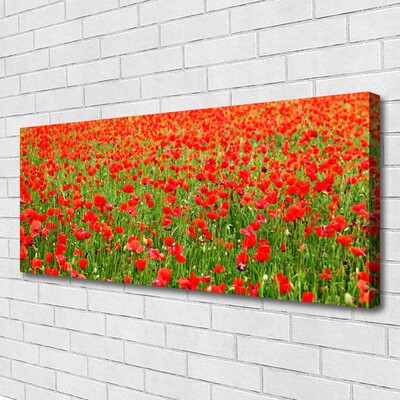 Quadro canvas Papoulas Plantam Natureza