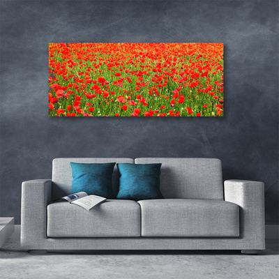 Quadro canvas Papoulas Plantam Natureza