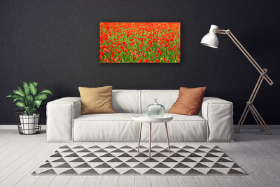 Quadro canvas Papoulas Plantam Natureza