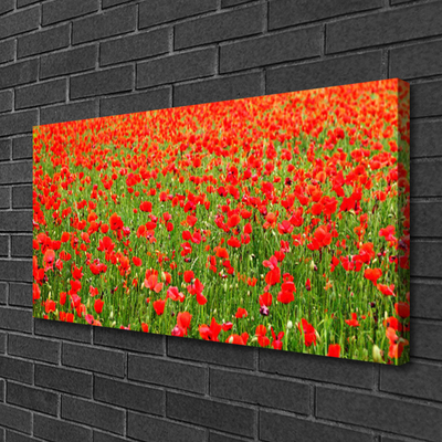 Quadro canvas Papoulas Plantam Natureza