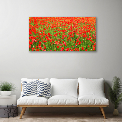 Quadro canvas Papoulas Plantam Natureza