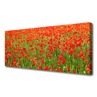 Quadro canvas Papoulas Plantam Natureza