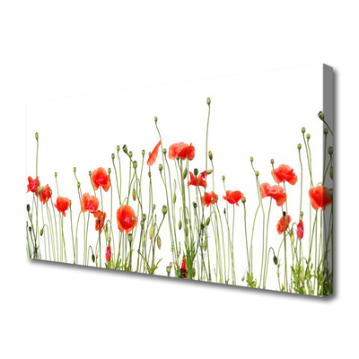 Quadro canvas Papoulas Plantam Natureza