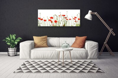 Quadro canvas Papoulas Plantam Natureza