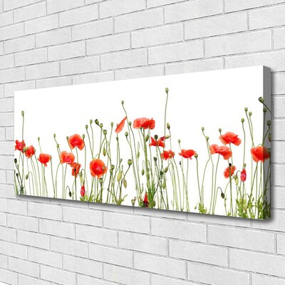 Quadro canvas Papoulas Plantam Natureza