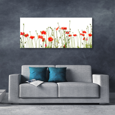 Quadro canvas Papoulas Plantam Natureza