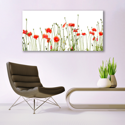 Quadro canvas Papoulas Plantam Natureza