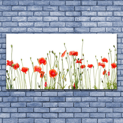 Quadro canvas Papoulas Plantam Natureza