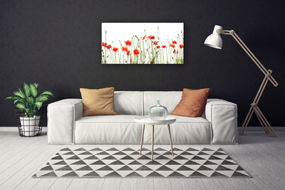 Quadro canvas Papoulas Plantam Natureza
