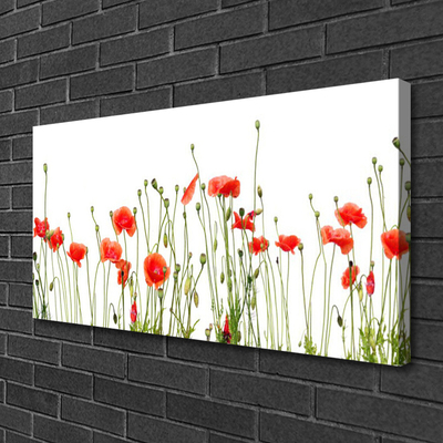 Quadro canvas Papoulas Plantam Natureza