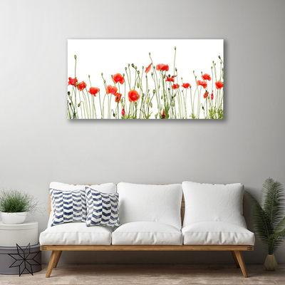 Quadro canvas Papoulas Plantam Natureza