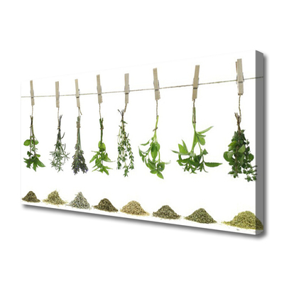 Quadro canvas Flores Planta Natureza