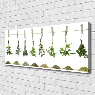 Quadro canvas Flores Planta Natureza