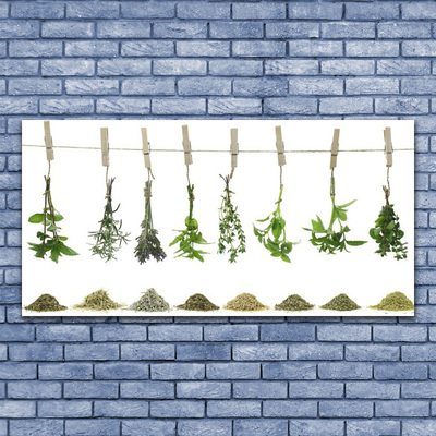 Quadro canvas Flores Planta Natureza