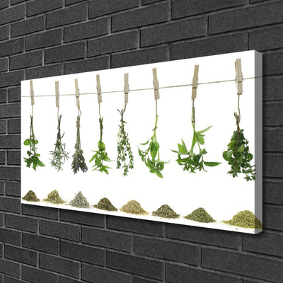 Quadro canvas Flores Planta Natureza