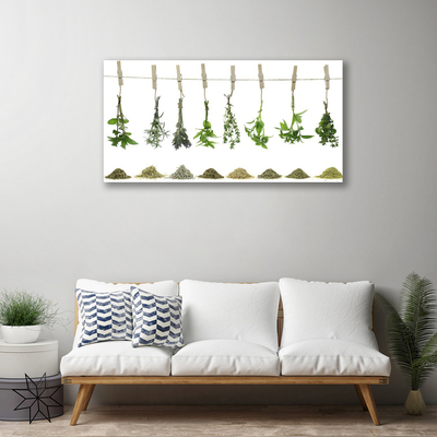 Quadro canvas Flores Planta Natureza