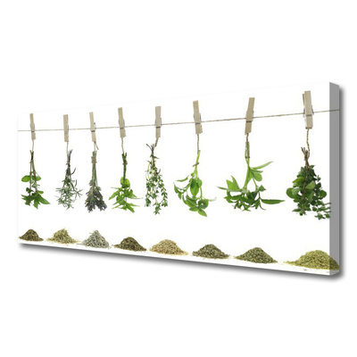 Quadro canvas Flores Planta Natureza