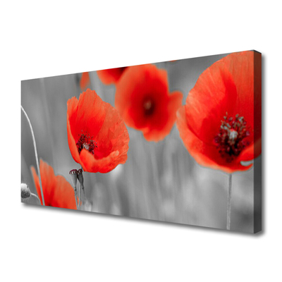 Quadro em tela Papoulas Plantam Natureza