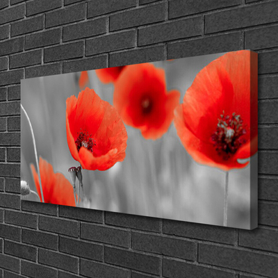 Quadro em tela Papoulas Plantam Natureza