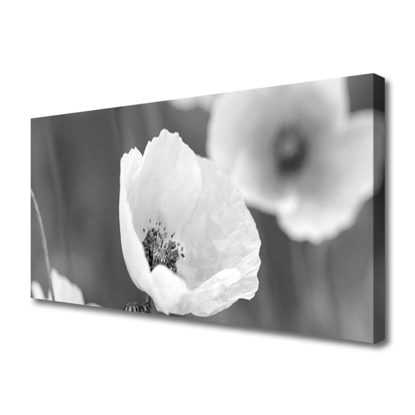 Quadro canvas Papoulas Plantam Natureza