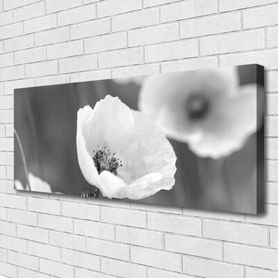 Quadro canvas Papoulas Plantam Natureza