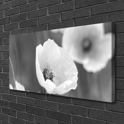 Quadro canvas Papoulas Plantam Natureza