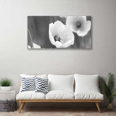 Quadro canvas Papoulas Plantam Natureza