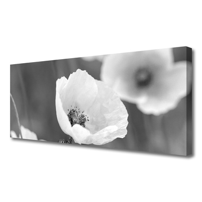 Quadro canvas Papoulas Plantam Natureza