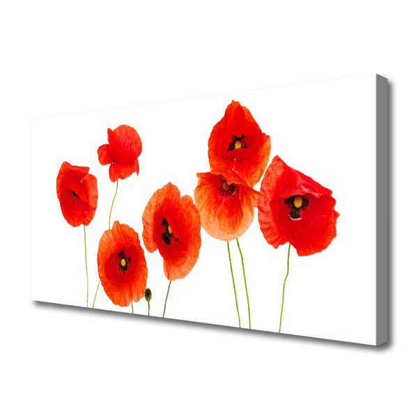Quadro canvas Papoulas Plantam Natureza