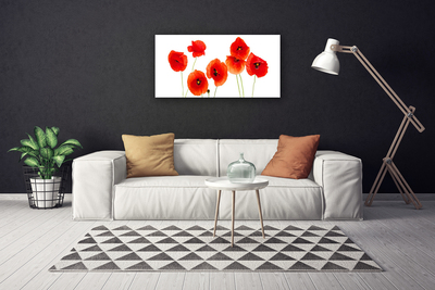 Quadro canvas Papoulas Plantam Natureza