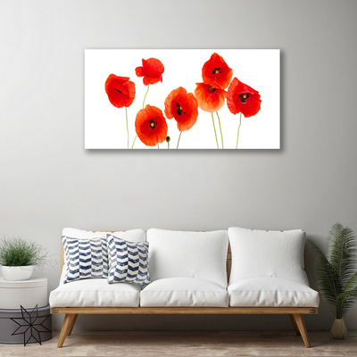 Quadro canvas Papoulas Plantam Natureza
